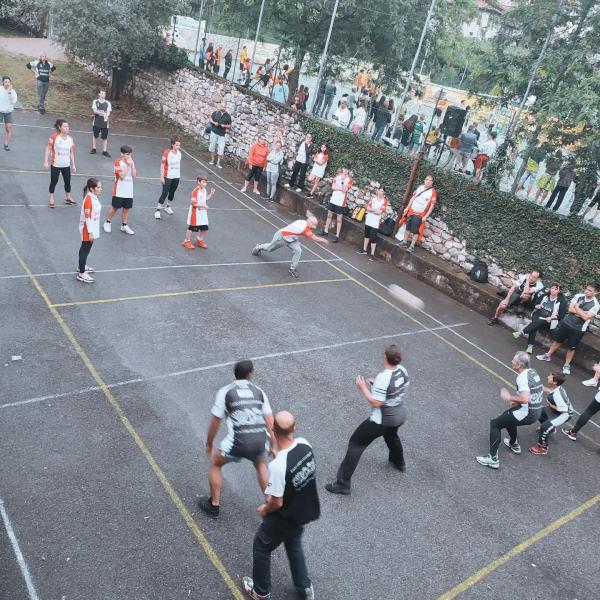 Palla colpire 2026